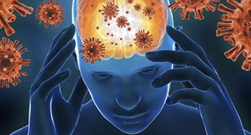 116 Suspected Meningitis Cases Reported
